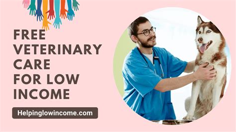 low income veterinary assistance program.